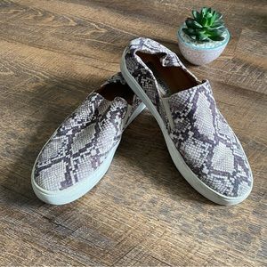 Steve Madden Animal Print Women Slides - EUC - Size 8